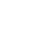 whitepaper