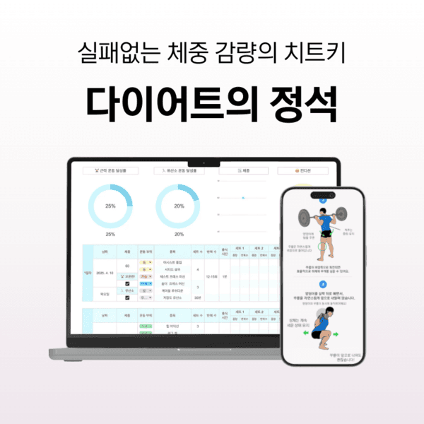 다이어트의 정석