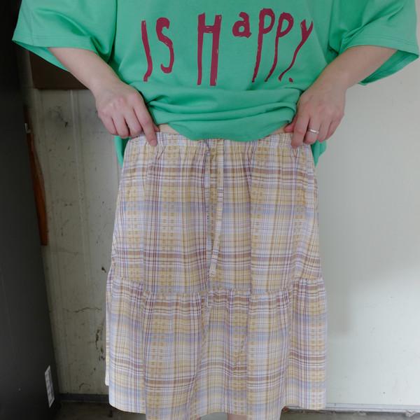 melody check skirt (2c)