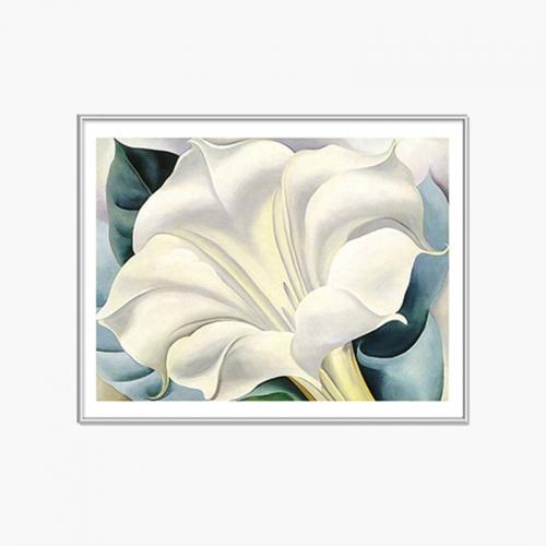 White Trumpet Flower