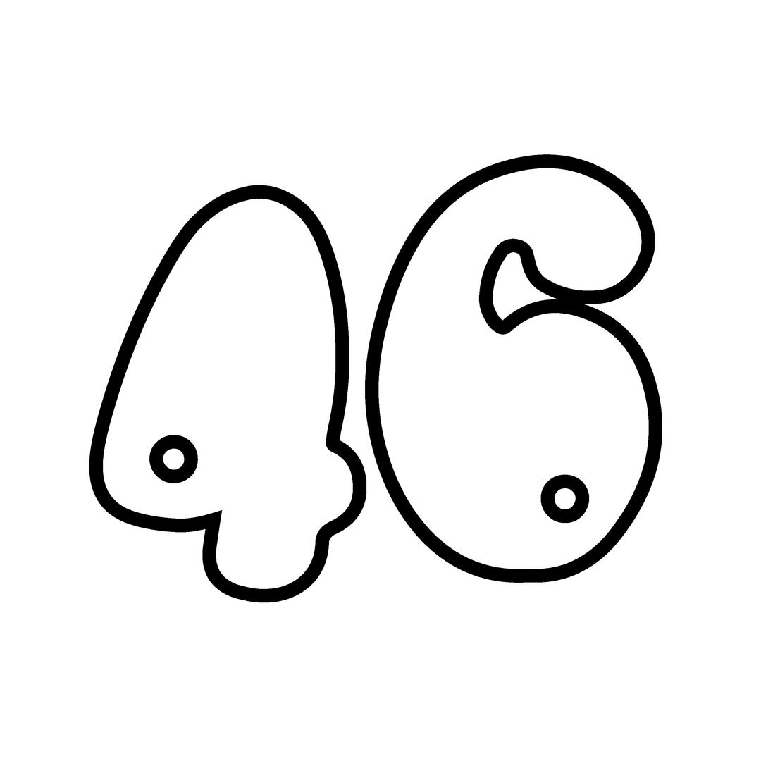 46monthㅣ포식스먼스