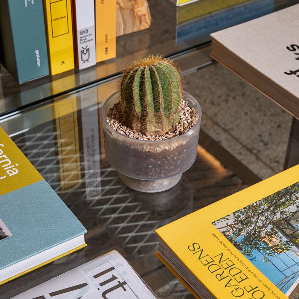 Pot Copenhagen_MYSTIC FOG