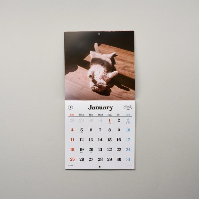 고양이 캘린더 2026