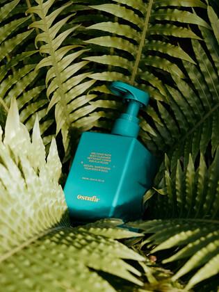 웰컴레인 바디 클렌저 300ml