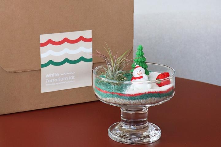 이오난사 테라리움 키트 크리스마스 화이트_ 크리스마스ver.