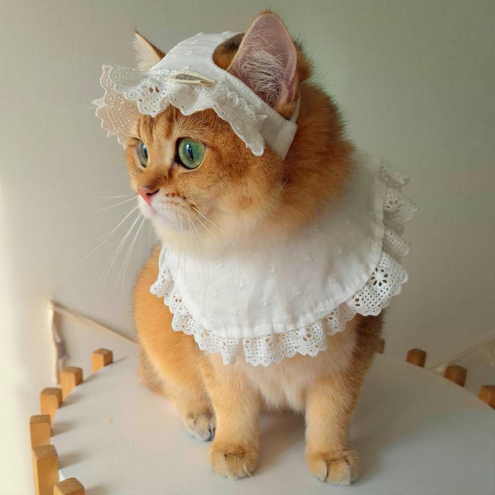 순면100% 요거트레이스 강아지 고양이 프릴 모자 케이프 세트