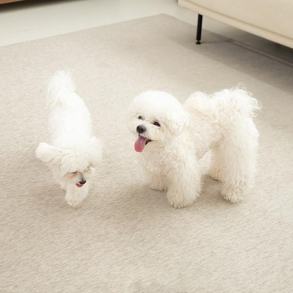 [반값특가] 미끄럼방지/생활방수 릴리브 밤비 이지케어 러그 (4/17 월 밤 12시 종료)