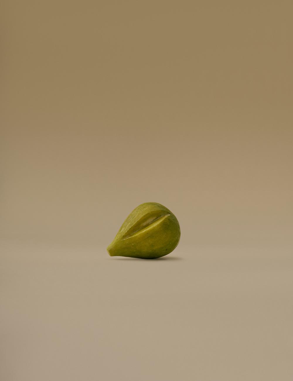 MINI FIG | 미니 무화과