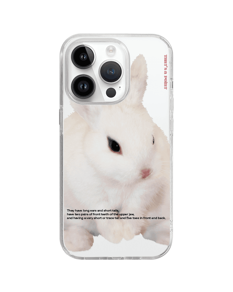 rabbit