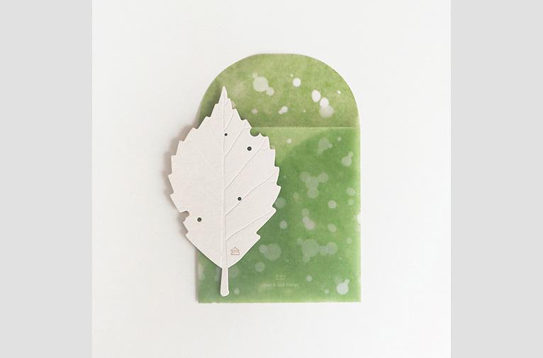 [소언] LEAF POSTCARD_CHERRY