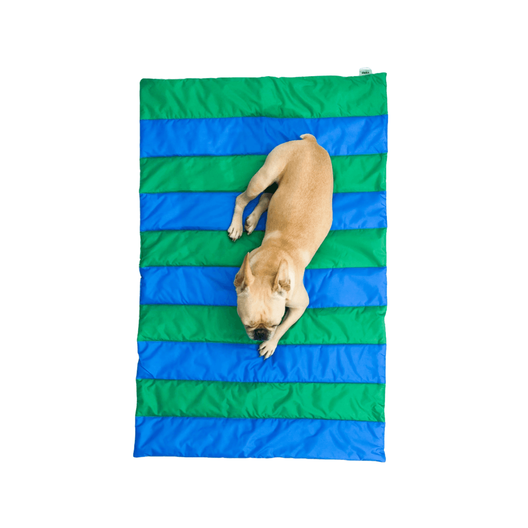TOOF PUPPY PICNIC MAT - STRIPE