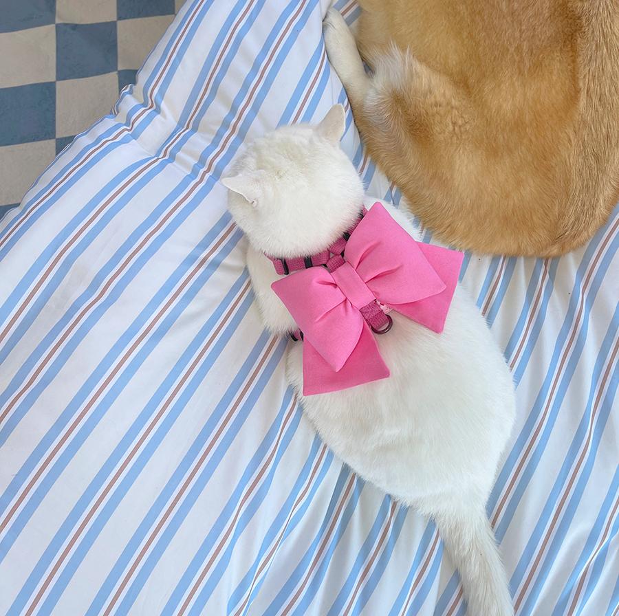 [핑크] 선물리본 H하네스 X하네스