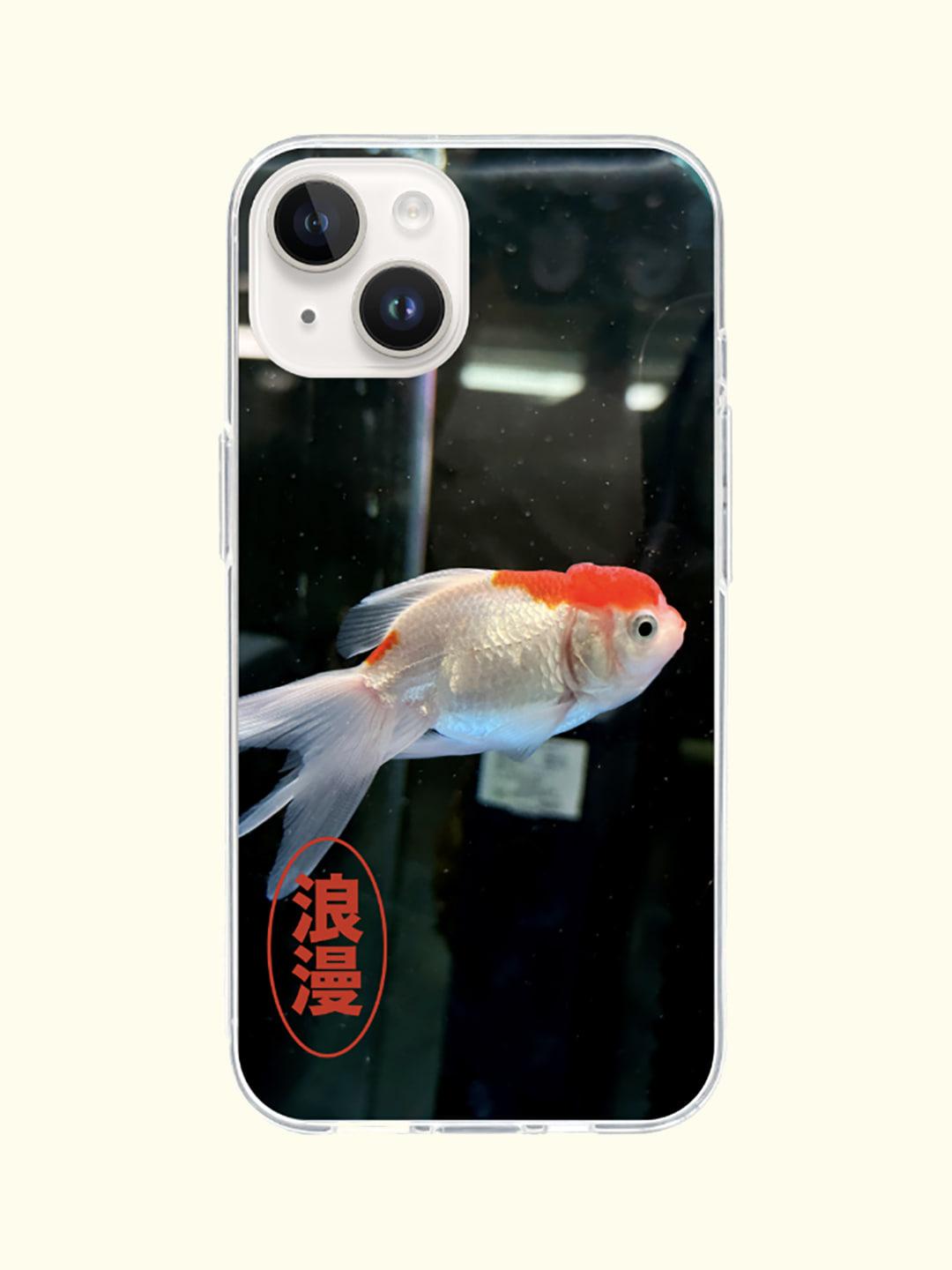 fish caes 003 [젤하드]