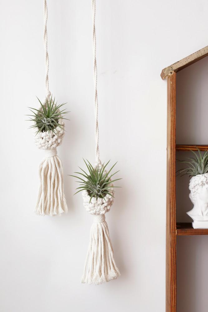 이오난사 틸란드시아 노르딕마크라메 키우기 행잉식물 플랜트 공중 실내공기정화식물 플렌테리어