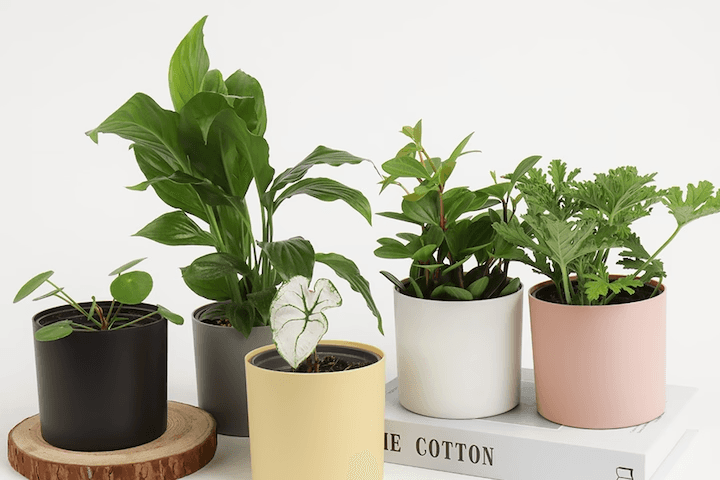 커버화분 플라스틱 원형 화분