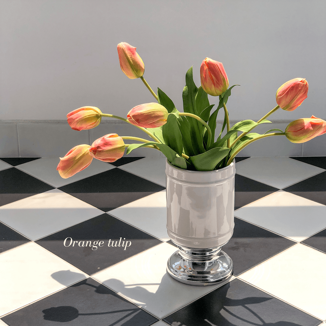 Orange tulip (1송이) - Amaranthine Blooms