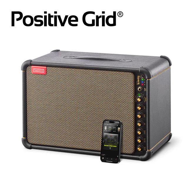 Positive Grid Spark Live