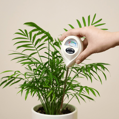 소소정원 수분측정기