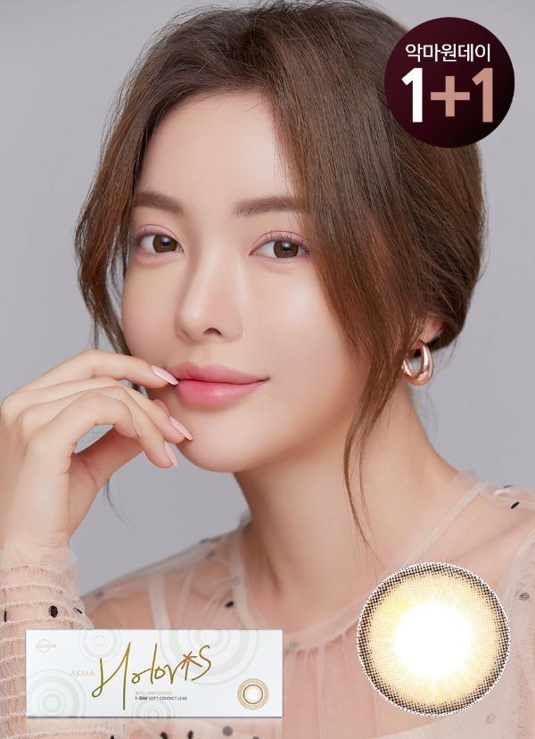 악마 원데이 홀로리스 진저브라운