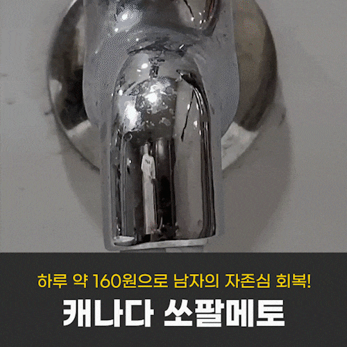 [오늘만 2만원대!] 캐나다 쏘팔메토 옥타코사놀 전립선 건강