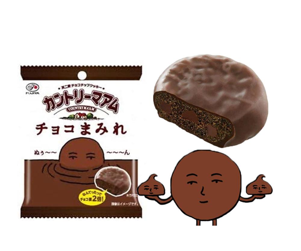 일본 스낵과자 찐한 진짜 초코 듬뿍 쿠키 후지야 초코 마미레  48g & 127g