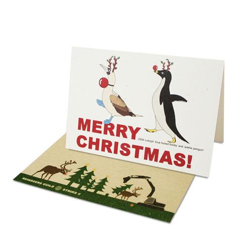 4 / 파란발가마우지와 아델리펭귄