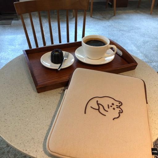 갸우뚱 뚱람이 아이패드파우치