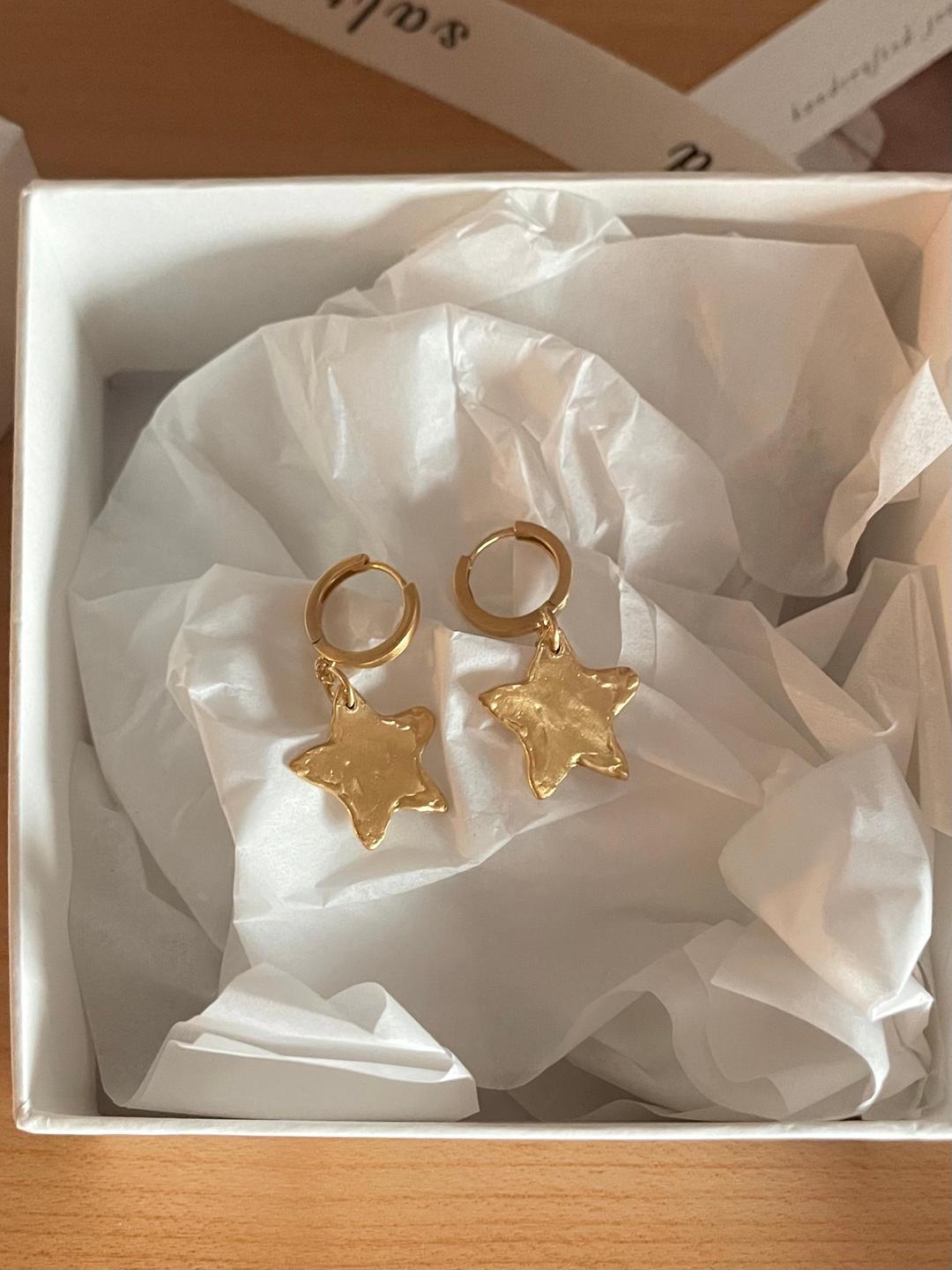 Monet star earring