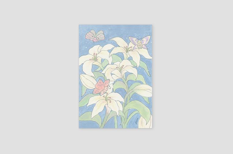 4차입고*[백년서점] 백합과 나비 엽서