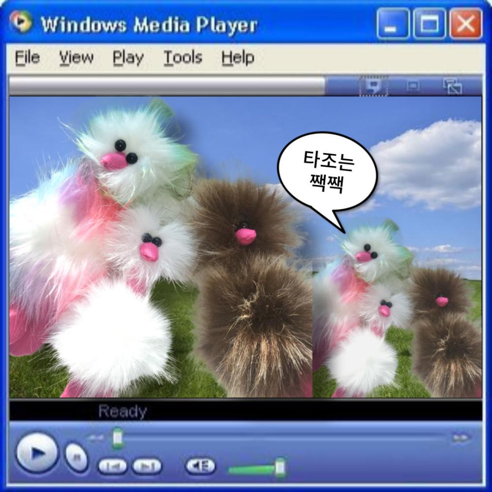 키치 플러피 타조뭉치 키링 (3 options)