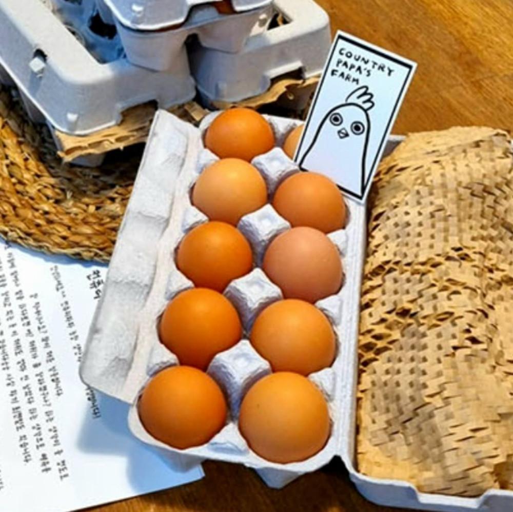 (정기구독 40구) 컨츄리파파농장 방사 유정란