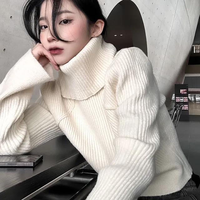 Detachable turtleneck knit