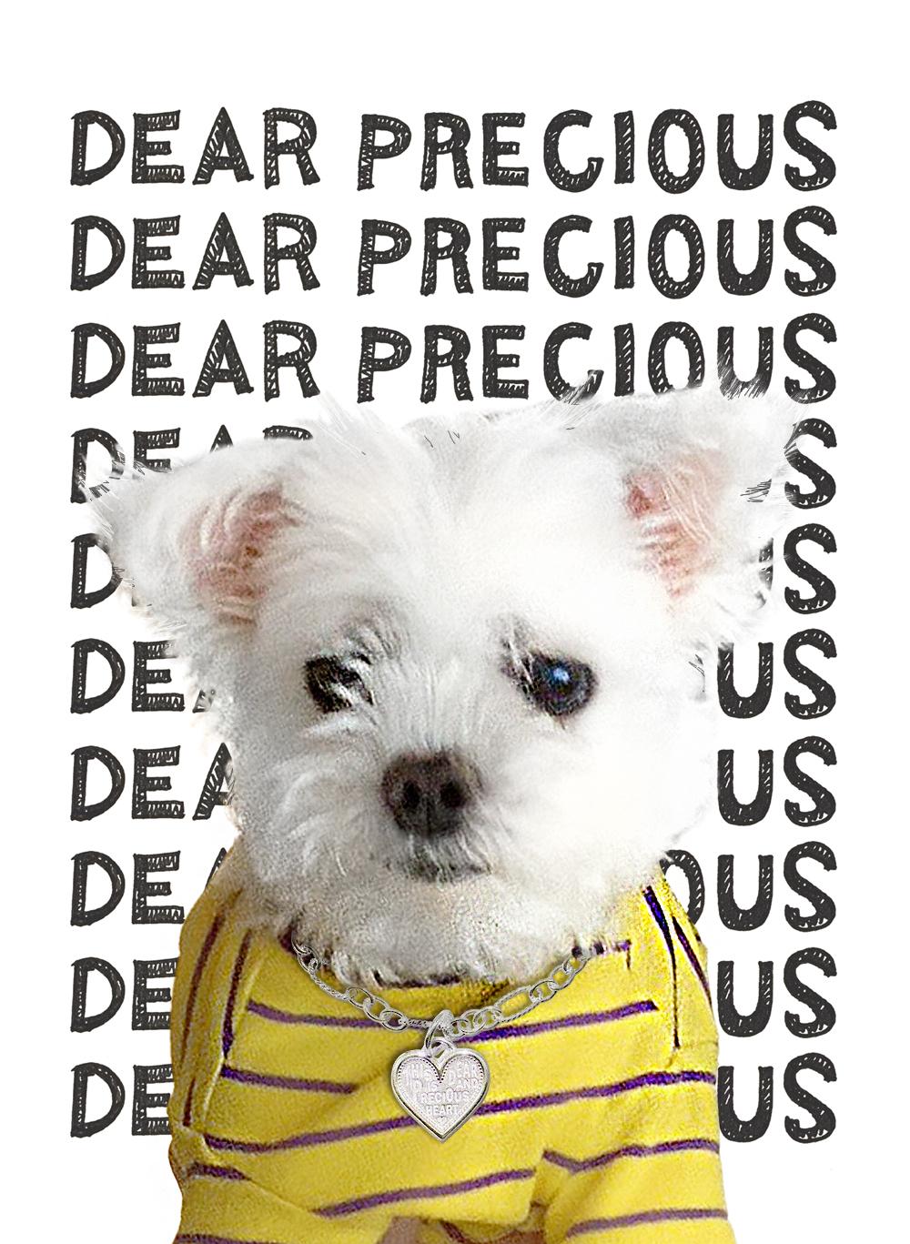 DPNF01 for dog or cat