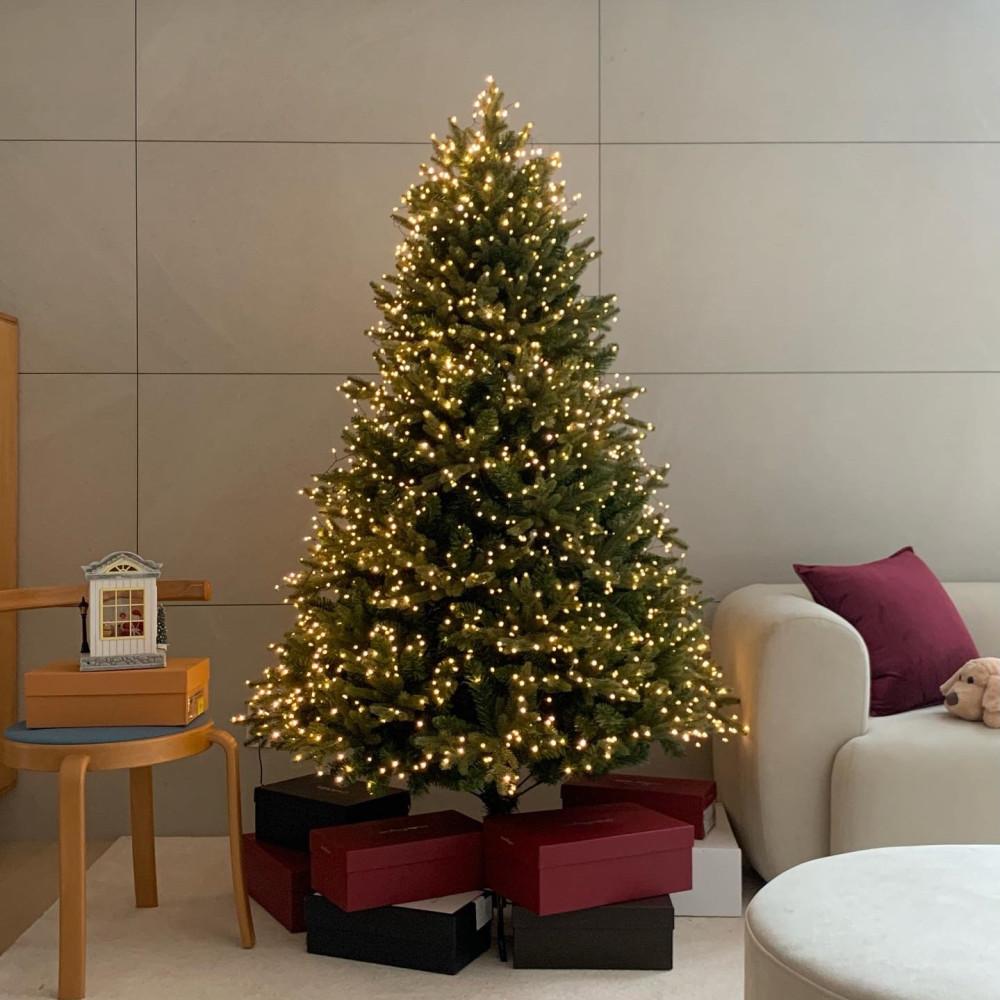 (드엘리사) Merry signature premium tree 3 sizes 시그니쳐 프리미엄 메리트리 3 sizes