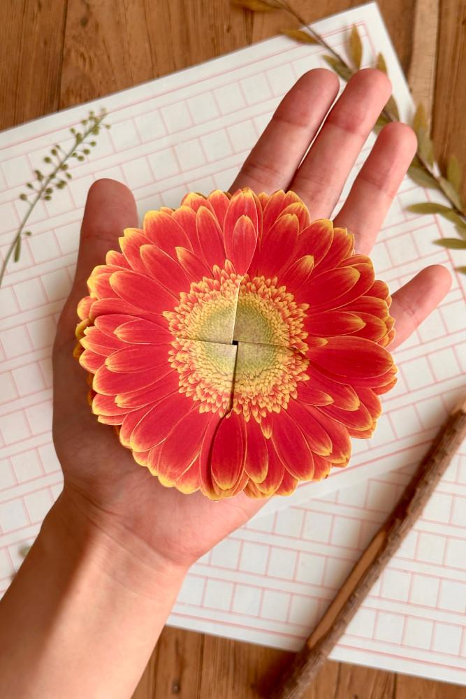 탄생화 편지 1주년편지 롤링페이퍼 생일편지지 12개월 세트