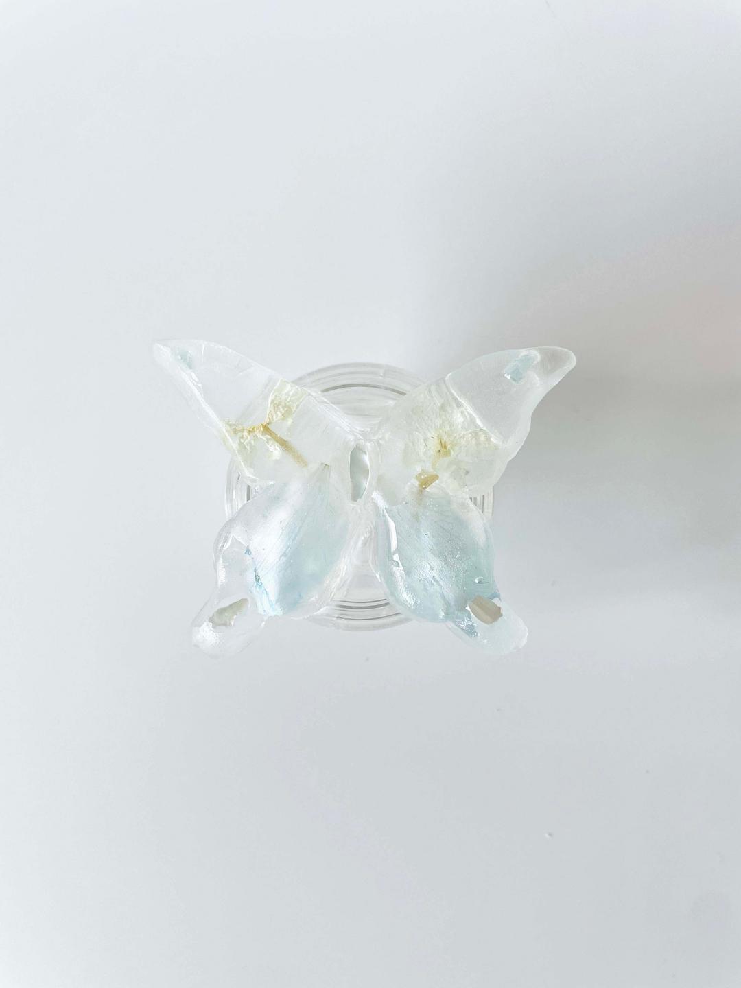 Mongsang Tok 239 (Nabi)