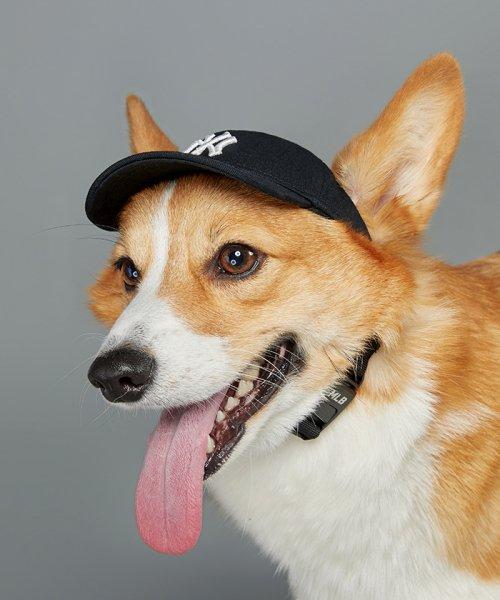 PET 루키 볼캡 NY (BLACK)