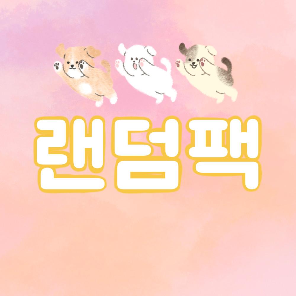 [룩룩] 랜덤팩