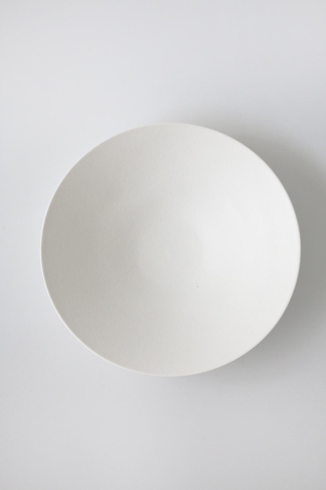 PULP CERAMIC DISH 2