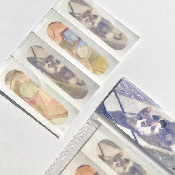 [작은 역동성] Chitchat at 4 / My kitty 대일밴드 세트