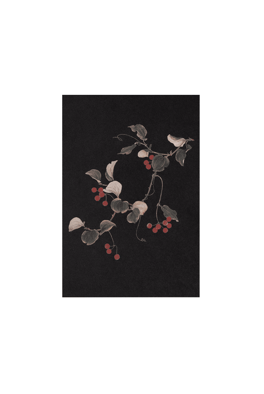 Post Card Smilax China China