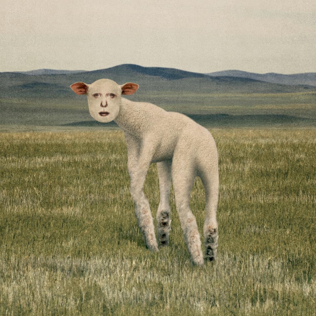 쏜애플 EP [동물] | THORNAPPLE EP [Animal]