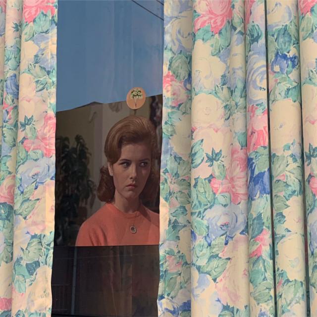 turquoise rose fabric