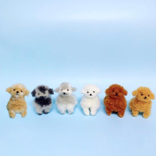 🐾푸들 비숑 말티푸 강아지 전신인형🐶주문제작가능