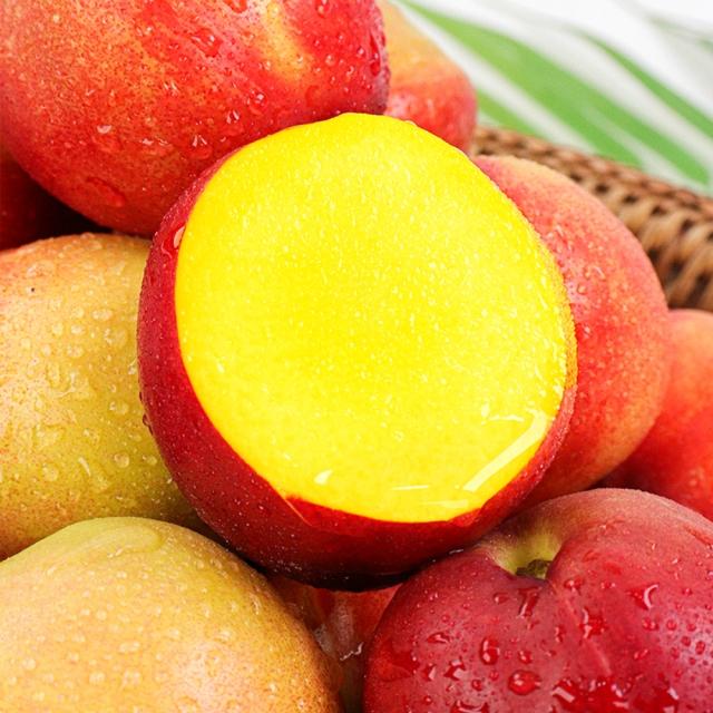 [★7/3부터 순차출고] 천도 복숭아계의 샤인머스캣 신품종! 망고복숭아 (옐로드림)