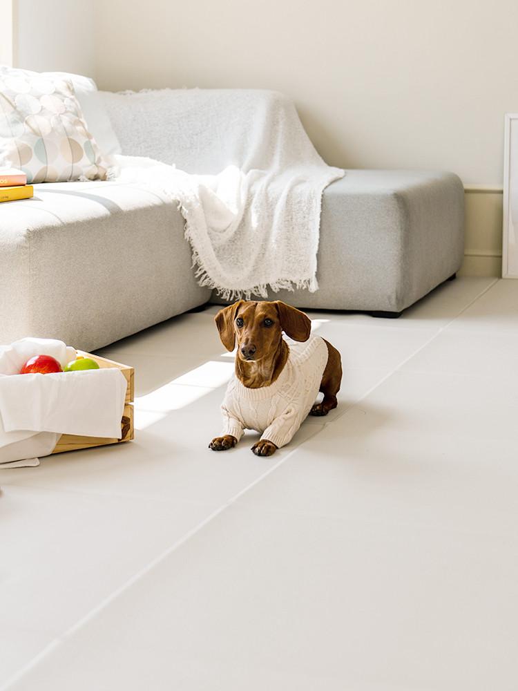 [이지폴딩100x60cm] 디팡 미끄럼방지 강아지 고양이매트 애견매트 슬개골탈구예방 4mm