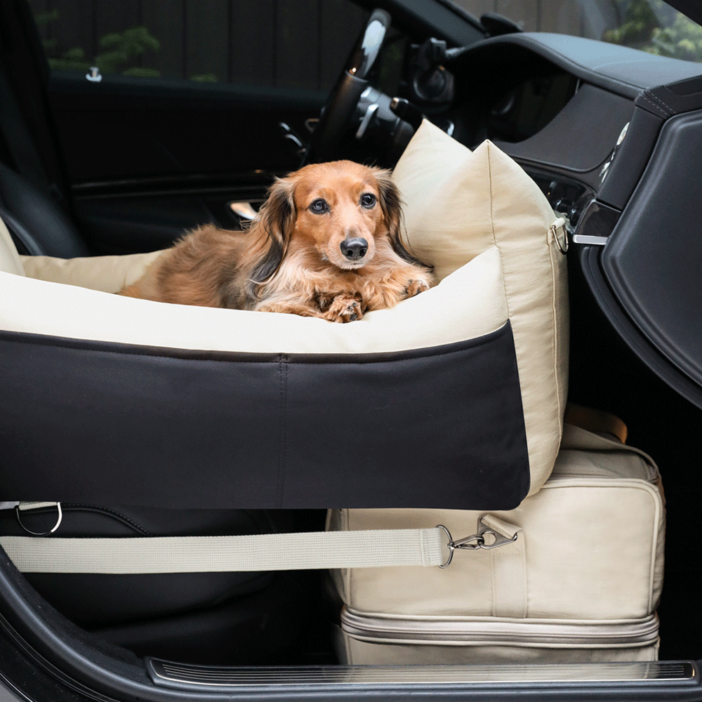 (카시트+트래블백 ) 세트할인