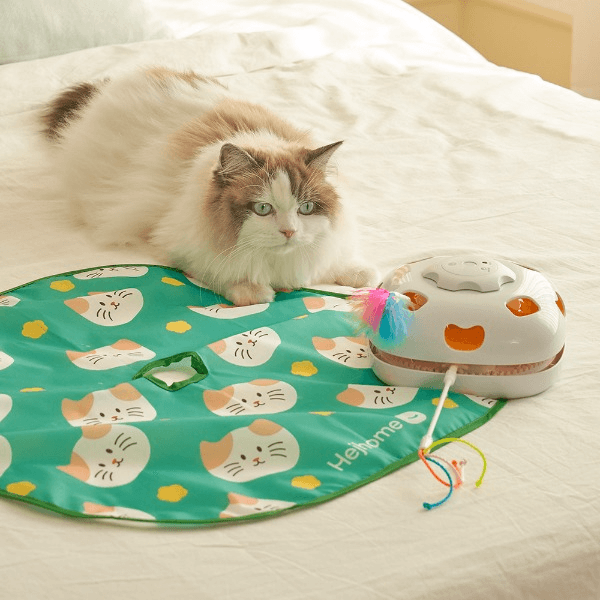 고양이 꼬리잡기 자동 장난감 펫 토이