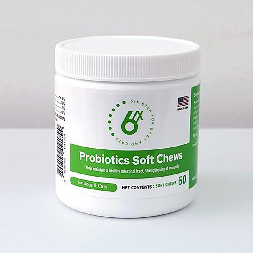 식스스텝 프로바이오틱스 유산균 소프트츄 60츄어블