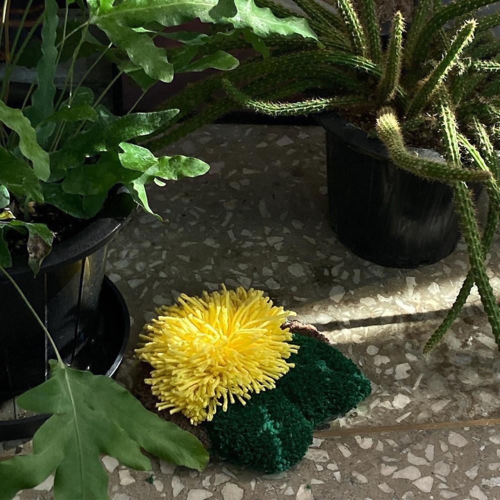 Dandelion objet 민들레 오브제